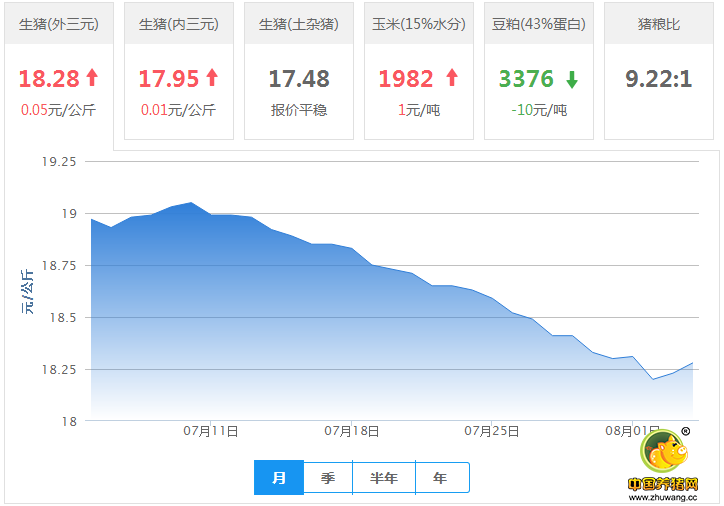 涨了！屠企压不住 猪价反弹明显！养猪人熬过来了？