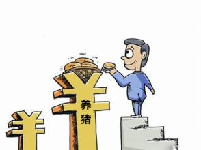 8月猪价还有一波好行情 是真的么？