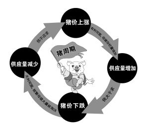 面对猪周期 有人“逃离”有人“守”