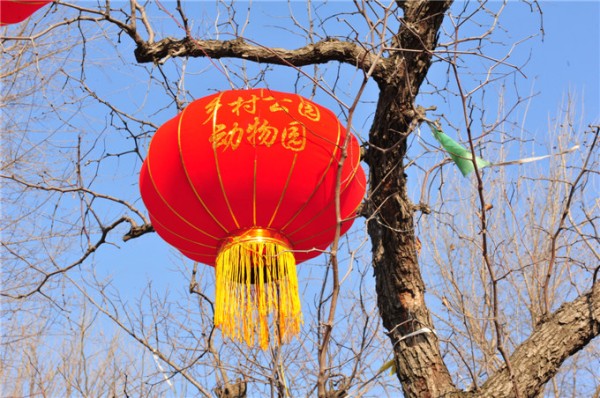 乡村公园动物园
