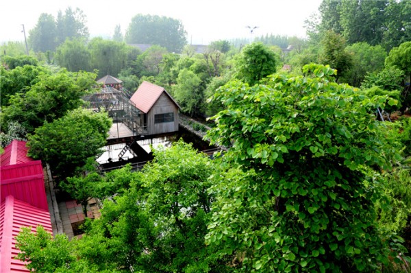 公园全景